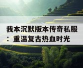 我本沉默版本传奇私服：重温复古热血时光