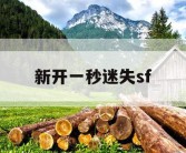 新开一秒迷失sf