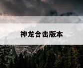 神龙合击版本