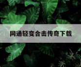 网通轻变合击传奇下载