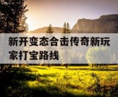 新开变态合击传奇新玩家打宝路线