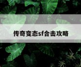 传奇变态sf合击攻略