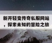 新开轻变传奇私服网站，探索未知的冒险之旅
