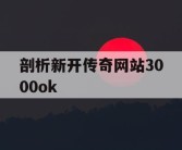 剖析新开传奇网站3000ok
