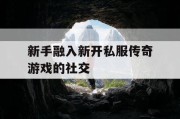 新手融入新开私服传奇游戏的社交