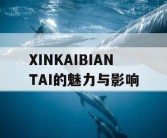 XINKAIBIANTAI的魅力与影响
