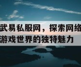 武易私服网，探索网络游戏世界的独特魅力