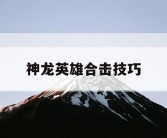 神龙英雄合击技巧