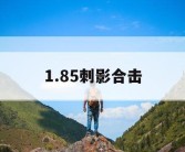 1.85刺影合击
