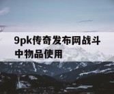 9pk传奇发布网战斗中物品使用