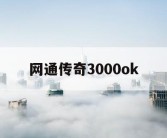 网通传奇3000ok