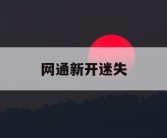 网通新开迷失