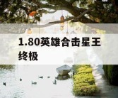1.80英雄合击星王终极