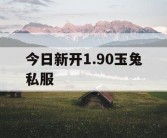 今日新开1.90玉兔私服
