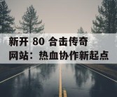 新开 80 合击传奇网站：热血协作新起点
