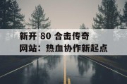 新开 80 合击传奇网站：热血协作新起点
