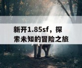 新开1.85sf，探索未知的冒险之旅