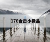 176合击小极品