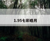 1.95七彩皓月