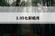 1.95七彩皓月