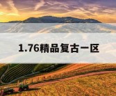 1.76精品复古一区