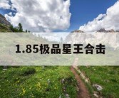 1.85极品星王合击