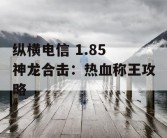 纵横电信 1.85 神龙合击：热血称王攻略