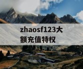 zhaosf123大额充值特权