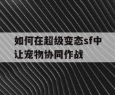 如何在超级变态sf中让宠物协同作战