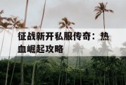 征战新开私服传奇：热血崛起攻略