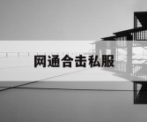 网通合击私服