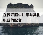 在找好服中注意与其他职业的配合