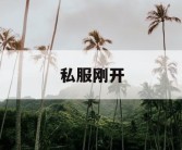 私服刚开