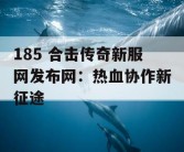 185 合击传奇新服网发布网：热血协作新征途