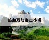 热血万劫连击小说
