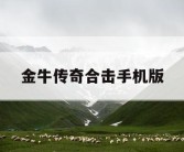 金牛传奇合击手机版
