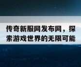 传奇新服网发布网，探索游戏世界的无限可能