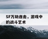 SF万劫连击，游戏中的战斗艺术