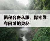 揭秘合击私服，探索发布网址的奥秘