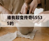 谁有超变传奇65535的