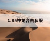 1.85神龙合击私服