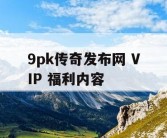 9pk传奇发布网 VIP 福利内容