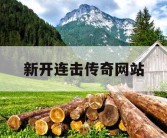 新开连击传奇网站