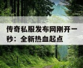 传奇私服发布网刚开一秒：全新热血起点