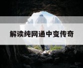 解读纯网通中变传奇