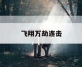 飞翔万劫连击