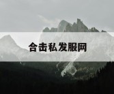 合击私发服网