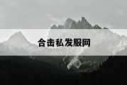 合击私发服网