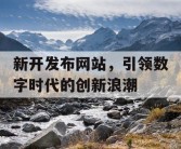新开发布网站，引领数字时代的创新浪潮