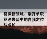 初探新领域，刚开单职业迷失网中的自我定位与成长